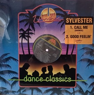 Sylvester – Call Me (Remix)  12