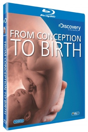 From Conception To Birth - Blu-ray