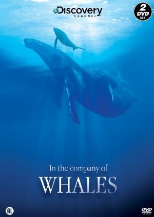 n The Company Of Whales