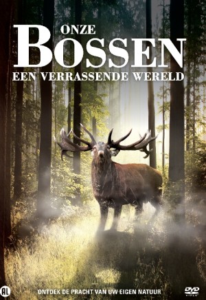 Onze Bossen Een Verrassende Wereld