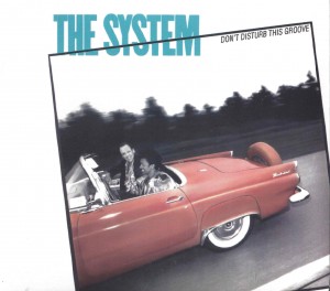 The System ‎– Don't Disturb This Groove