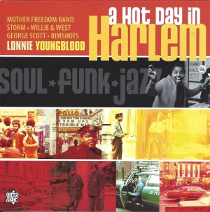 V/a -  A Hot Day In Harlem