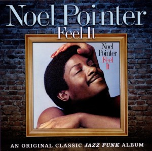 Noel Pointer ‎– Feel It