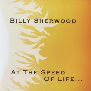 Billy Sherwood - At The Speed Of Life…
